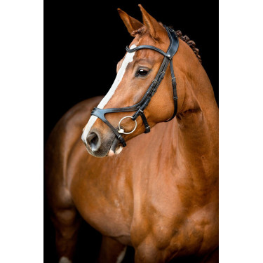 Bridon Montar US Excellence Adapt gelooid leer Bridon Montar US Excellence Adapt gelooid leer