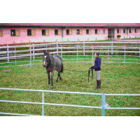 PANELS GALVANISES - L 2,40... PANELS GALVANISES - L 2,40...