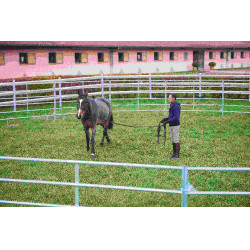 VERZINKTE PANELEN - L 2,40 m - H 1,60 m