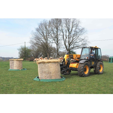 Mise en place du foin dans le ratelier cloche
