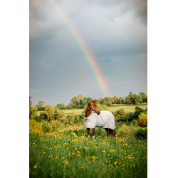 Vliegendeken Horseware Newmarket Houtskool witney Grijs