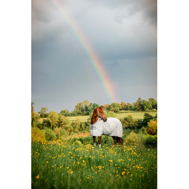 Vliegendeken Horseware Newmarket Houtskool witney Grijs