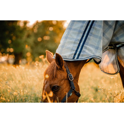 Couverture anti-mouches Horseware Newmarket Plus Marine witney Bleu marine