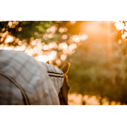 Vliegendeken Horseware Newmarket Plus Marine witney Marineblauw Vliegendeken Horseware Newmarket Plus Marine witney Marineblauw