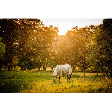 Couverture anti-mouches Horseware Newmarket Plus Charbon de bois witney Gris