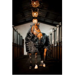 Couverture d'écurie Horseware Easy-Layer Plus 400g Noir / noir / argent Couverture d'écurie Horseware Easy-Layer Plus 400g Noir / noir / argent