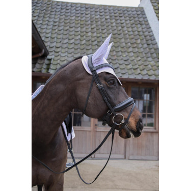 Vliegennetje Wellington Kentucky Softshell Paars Roze