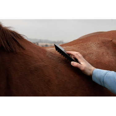 Etrille acier Grooming Deluxe Etrille acier Grooming Deluxe