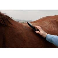 Stalen roskam Grooming Deluxe Zwart Stalen roskam Grooming Deluxe Zwart