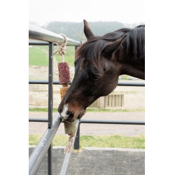 Ontspannend houten speelgoed Grooming Deluxe Ontstressen Ontspannend houten speelgoed Grooming Deluxe Ontstressen