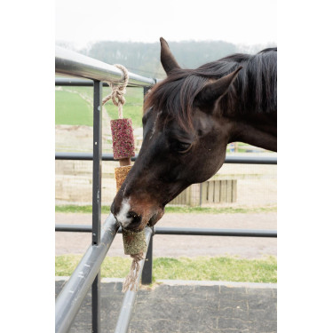 Ontspannend houten speelgoed Grooming Deluxe Ontstressen Ontspannend houten speelgoed Grooming Deluxe Ontstressen