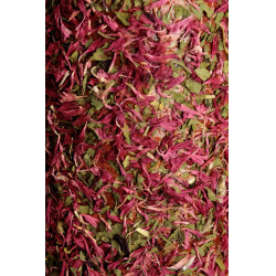 Ontspannend houten speelgoed Grooming Deluxe Ontstressen Ontspannend houten speelgoed Grooming Deluxe Ontstressen