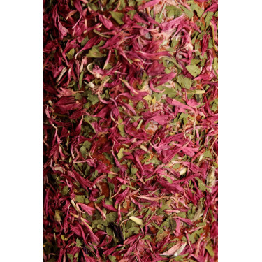 Ontspannend houten speelgoed Grooming Deluxe Ontstressen Ontspannend houten speelgoed Grooming Deluxe Ontstressen