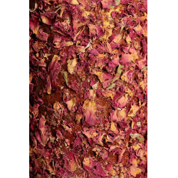 Jouet en bois relaxant Grooming Deluxe Freedom