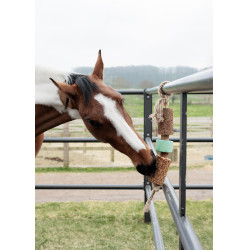 Rustgevend houten speeltje Grooming Deluxe met zoutsteen Rustgevend houten speeltje Grooming Deluxe met zoutsteen