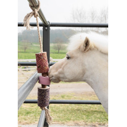 Jouet en bois relaxant Grooming Deluxe avec pierre à sel Sammy