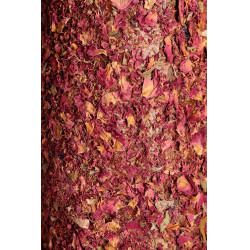 Jouet en bois relaxant Grooming Deluxe avec pierre à sel Sammy