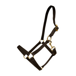 Nylon Halster Kentucky Zwart
