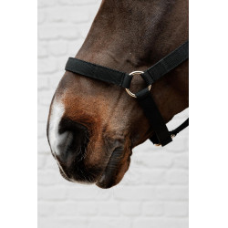 Licol en Nylon Kentucky Noir Licol en Nylon Kentucky Noir