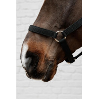 Nylon Halster Kentucky Zwart Nylon Halster Kentucky Zwart