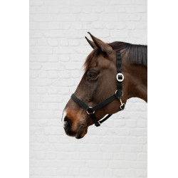 Licol en Nylon Kentucky Noir Licol en Nylon Kentucky Noir