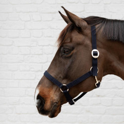 Licol en Nylon Kentucky Marine Bleu marine