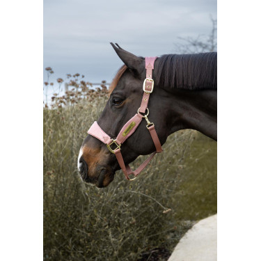 Licol Velvet Licorne pailletée Kentucky Licol Velvet Licorne pailletée Kentucky