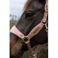 Licol Velvet Licorne pailletée Kentucky Vieux rose Licol Velvet Licorne pailletée Kentucky Vieux rose