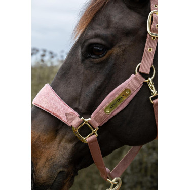 Licol Velvet Licorne pailletée Kentucky Licol Velvet Licorne pailletée Kentucky