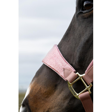 Licol Velvet Licorne pailletée Kentucky Licol Velvet Licorne pailletée Kentucky