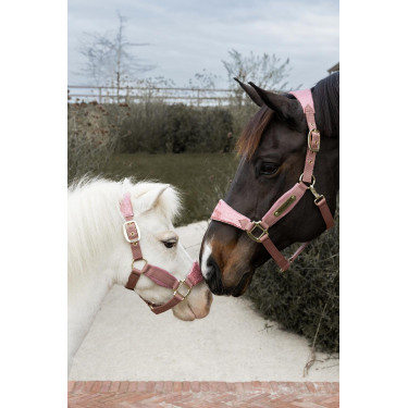 Halster Velvet Glitter Eenhoorn Kentucky Oudroze Halster Velvet Glitter Eenhoorn Kentucky Oudroze