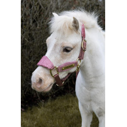 Licol Velvet Licorne pailletée Kentucky Vieux rose