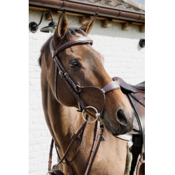 Muserolle Hybride Dy'on New English Collection Marron