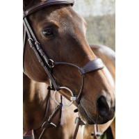 Hybride Neusriem Dy'on New English Collection Bruin