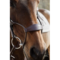 Hybride Neusriem Dy'on New English Collection Bruin