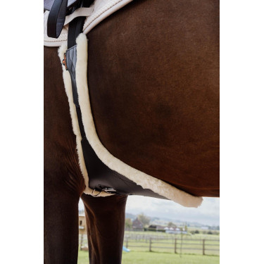 Sangle bavette Kentucky anatomique mouton Noir Sangle bavette Kentucky anatomique mouton Noir