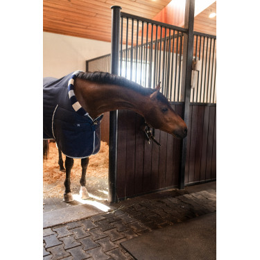 Couverture d'écurie Horseware Newmarket Cosy 100g Couverture d'écurie Horseware Newmarket Cosy 100g