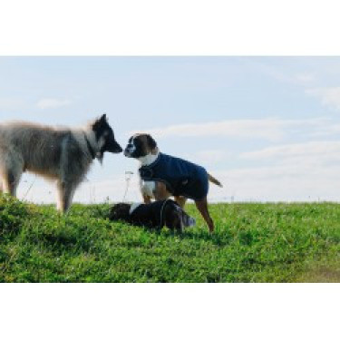Hondenhoes Equithème TYREX 600D Hondenhoes Equithème TYREX 600D