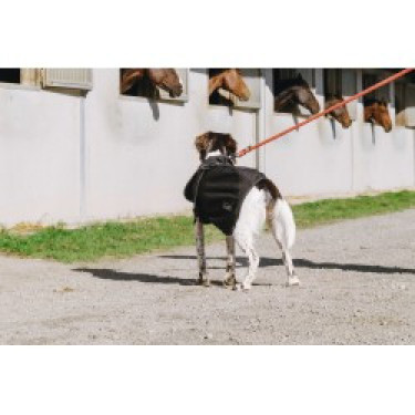 Hondenhoes Equithème Softshell Hondenhoes Equithème Softshell