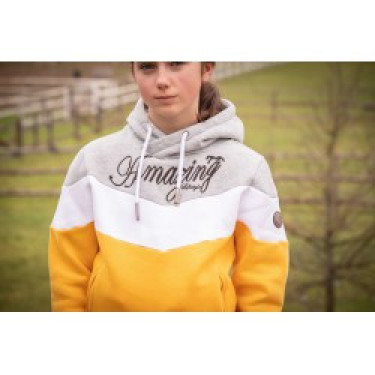 Sweat Pénélope Artémis Sweat Pénélope Artémis