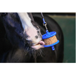 Friandises Likit Granola Allégé Friandises Likit Granola Allégé