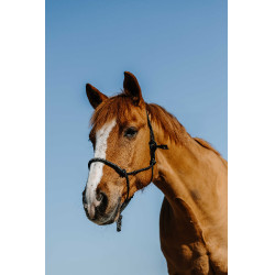 Nylon ethologisch halster Norton Diams Nylon ethologisch halster Norton Diams