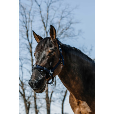 UV-bescherming neus Equithème