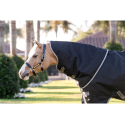 Couverture Horseware Amigo 1200D Plus Poney Turnout 250g Noir / gris titane / argent