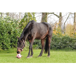Speelbal HKM paarden Fun Speelbal HKM paarden Fun