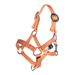Halster en halstertouw HKM Hobby Horsing Basic Halster en halstertouw HKM Hobby Horsing Basic