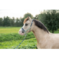 Halster HKM Barnie Lichtgroen / donkergroen