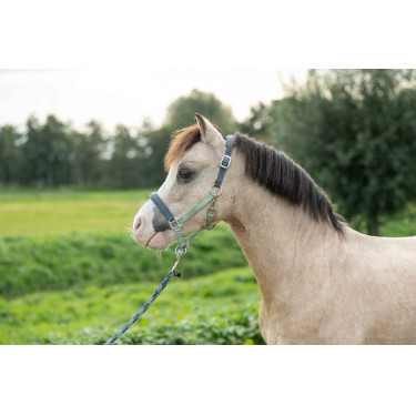 Halster HKM Barnie Lichtgroen / donkergroen