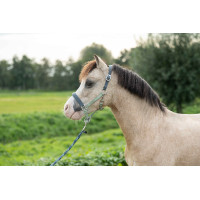 Licol HKM Barnie Bleu fumé / rose