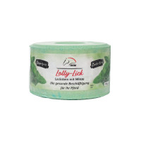 Pierre a sel HKM aromatisée Lolly Lick Menthe Menthe Vert Pierre a sel HKM aromatisée Lolly Lick Menthe Menthe Vert